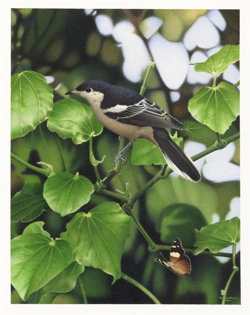 ��β�����V