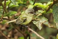 ���������l��ͼƬ