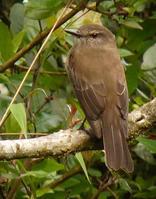 ��ɫ�԰��l��ͼƬ