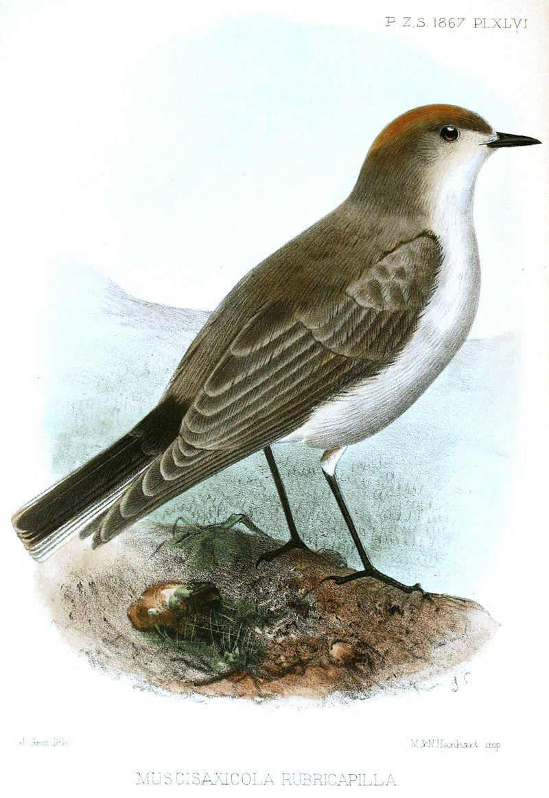 �ؾ��ذ��l��ͼƬ