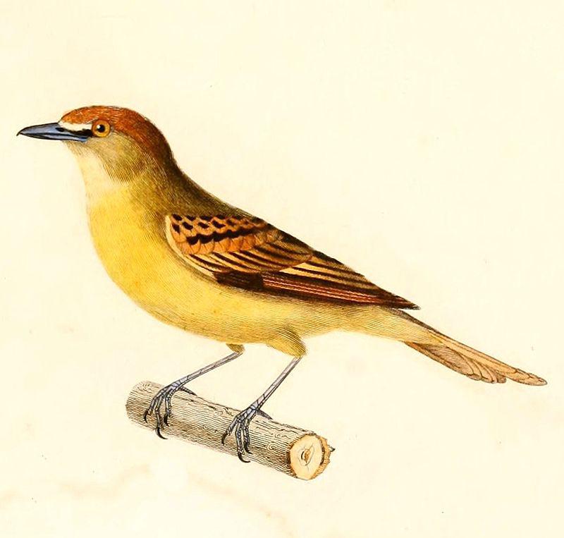 �ڶ�������l��ͼƬ