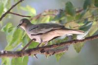 �ϳ����ͼƬ