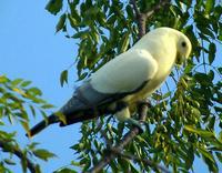 �����߻���ͼƬ