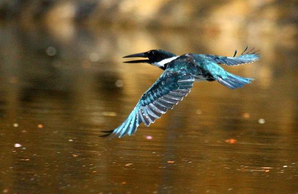 ����ѷ���㹷