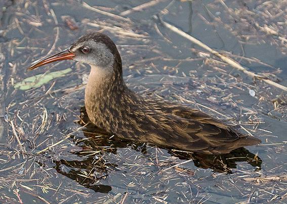 ������������