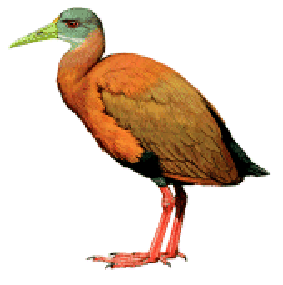 ����������ͼƬ