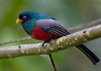 ��������ҧ��