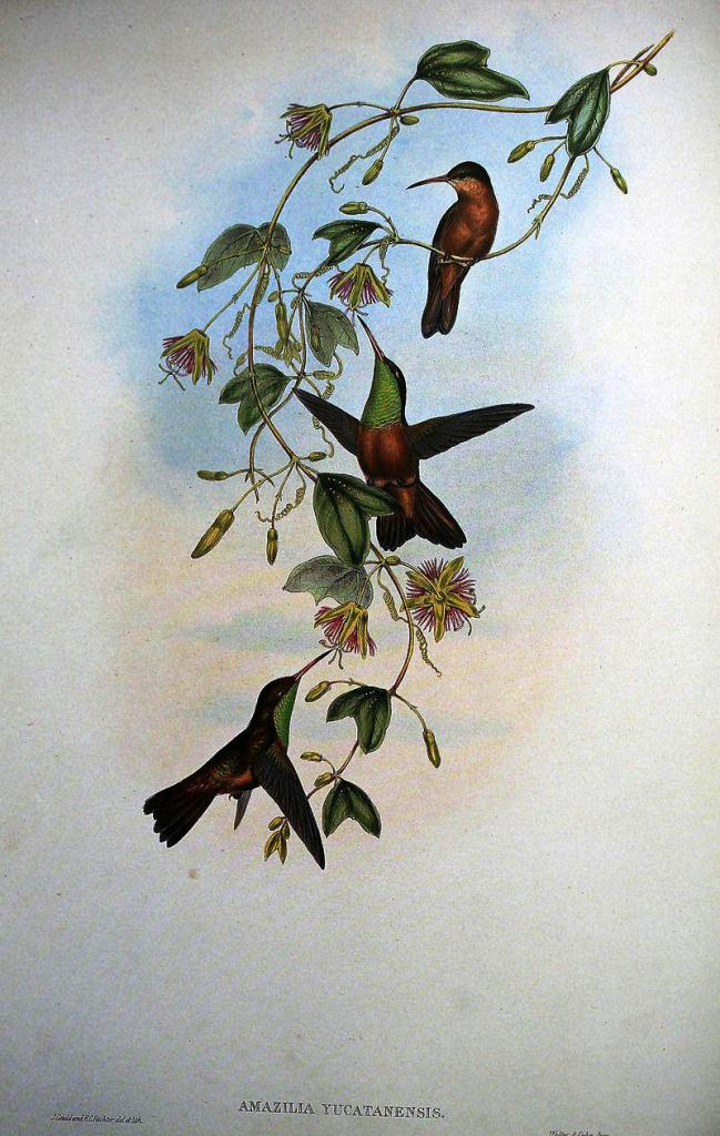 �ظ������ͼƬ