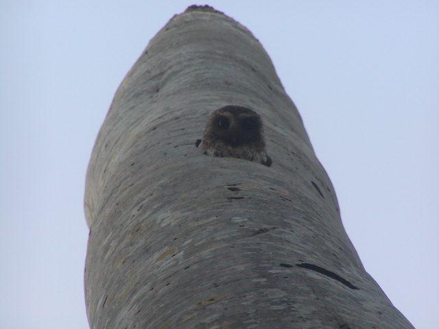 �Űͽ��^��ͼƬ