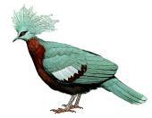 ���ط����ͼƬ