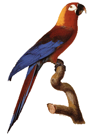 �Űͺ����ĵ�ͼƬ