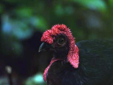 ��ڣ����ͼƬ