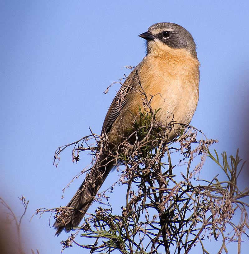 ��β«ȸ����ͼƬ