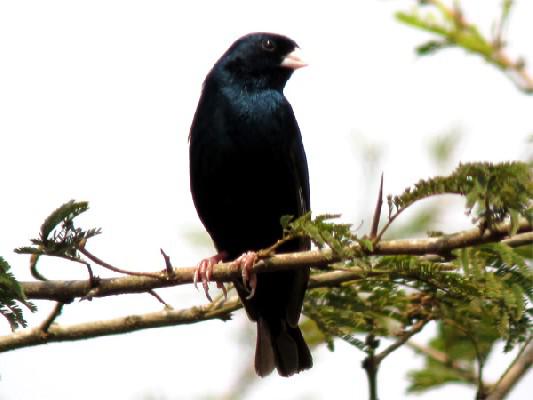 ղ�Ͷ�ά�����ͼƬ