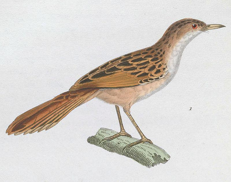 ������βݺ��ͼƬ