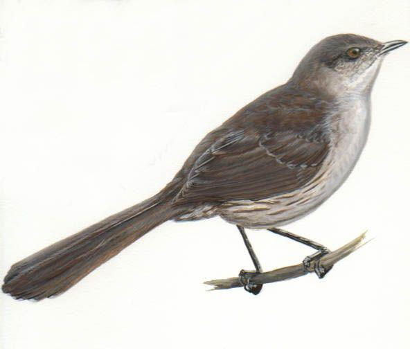 �����޳���ͼƬ