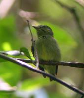 ٪�Խ��l��ͼƬ