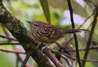 ��β�����ͼƬ