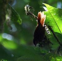 ����βȸ��ͼƬ