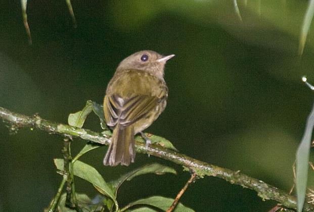 ����٪���l��ͼƬ