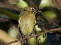 ���ɫ�ư��l��ͼƬ