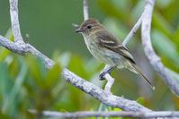 �ض�����l��ͼƬ