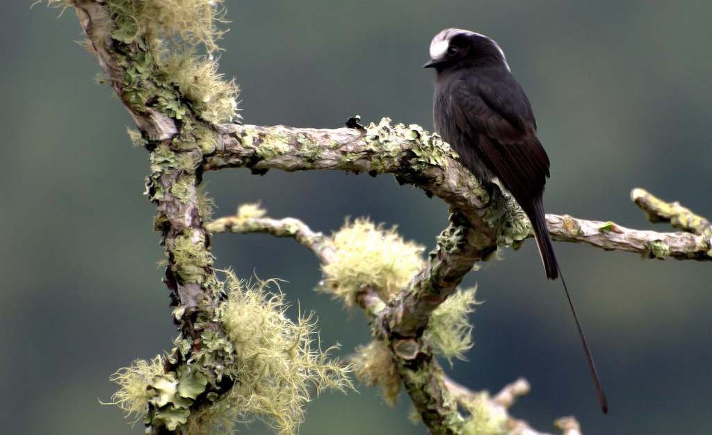 ��β���l��ͼƬ