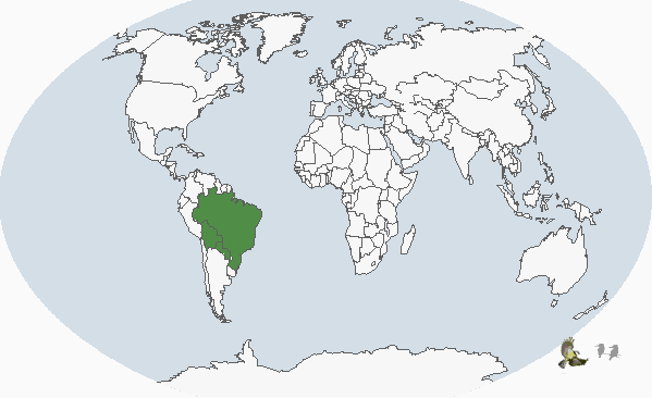 ����έ����