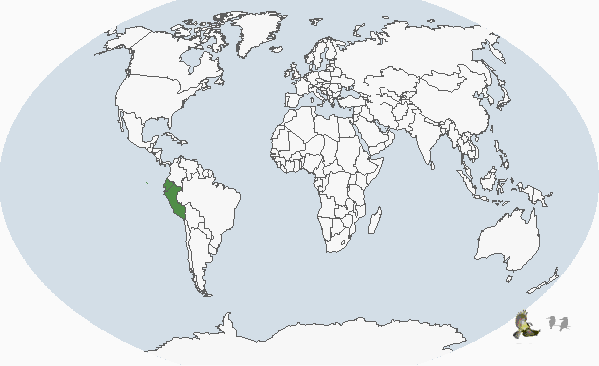 �߳�����