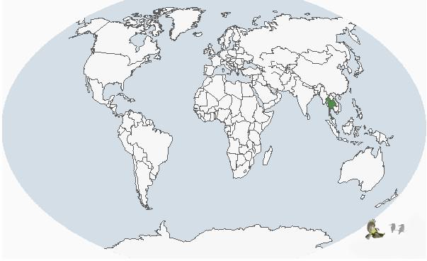 ���ۺ���