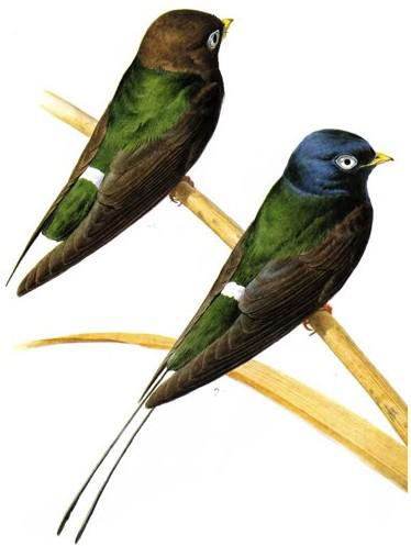 ���ۺ���