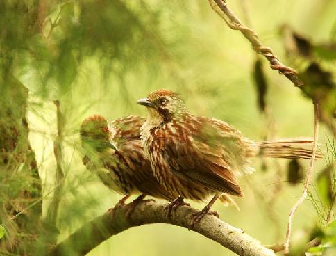 �ز��̵�ͼƬ