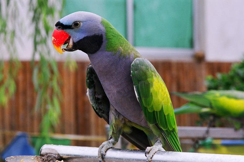 �������