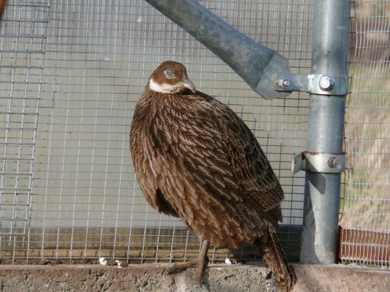 ��β������ͼƬ