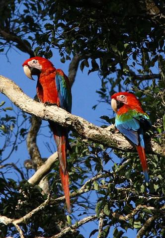 �̳�������