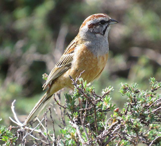 �������c��ͼƬ