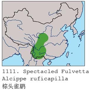 ��ͷȸ�̣������ֲ�ͼ