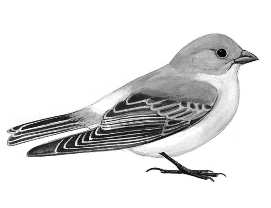 ��ͷ��ȸ����̬����ͼ