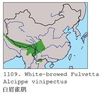 ��üȸ�̣������ֲ�ͼ