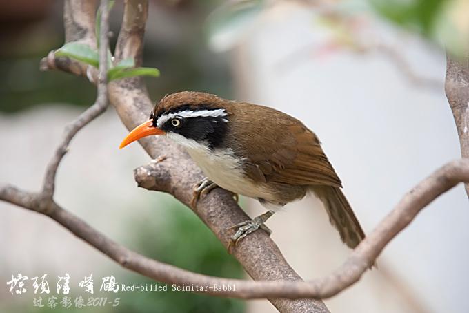 ��ͷ�����̵�ͼƬ