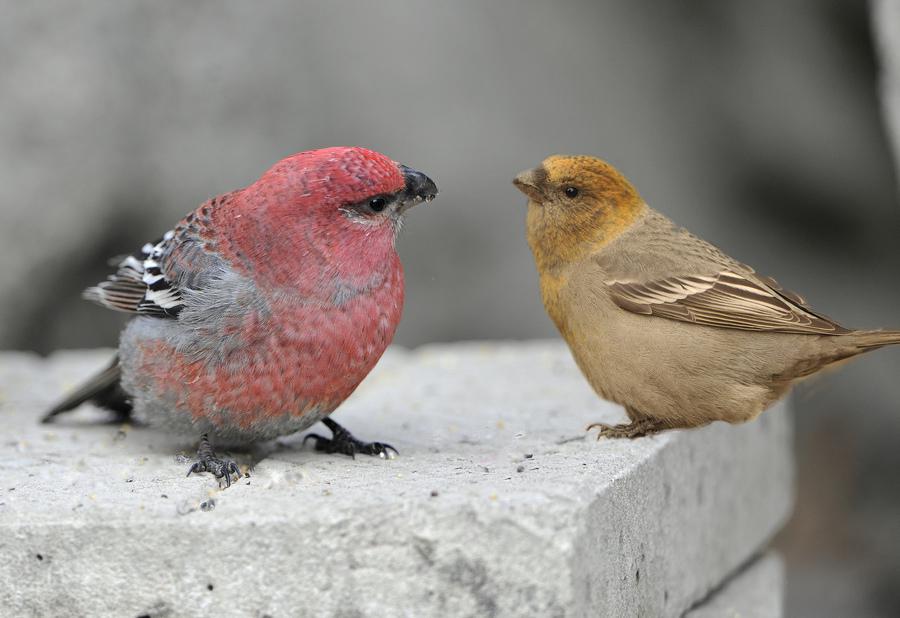 ��ȸһ�ԣ���������ұߴ������ߣ�������Ȼ��2010��11�¡���������