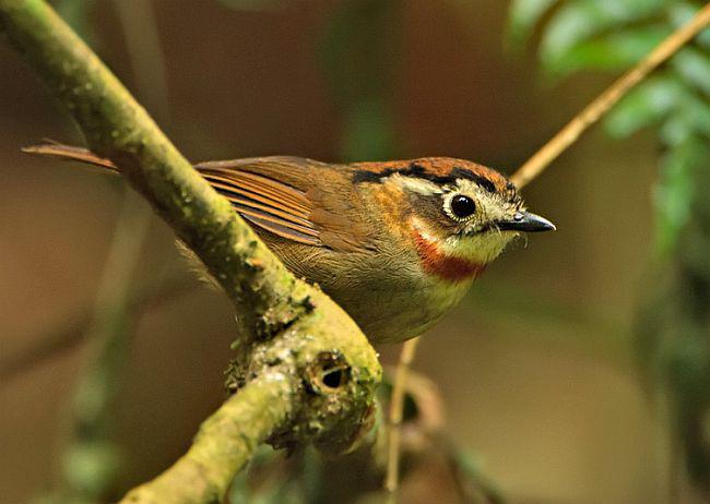 �غ�ȸ�̵�ͼƬ