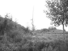 ���ط羰��ʤ