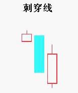 �̴��ߵ���̬����
