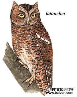 ������^��ͼ��