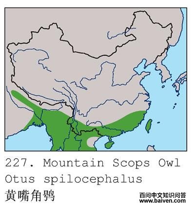 ������^�ĵ����ֲ�ͼ