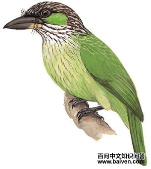 ��������ľ���ͼ��