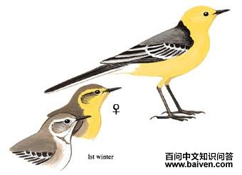 ��ͷ�n�_��ͼ��