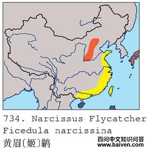 ��ü[��]�l�ĵ����ֲ�ͼ