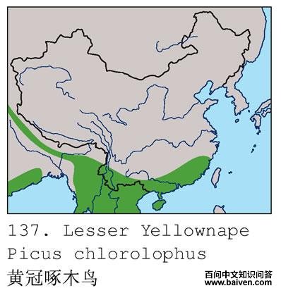 �ƹ���ľ��ĵ����ֲ�ͼ